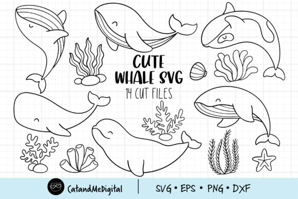 Download Cute Whale Svg - Premium Bundle