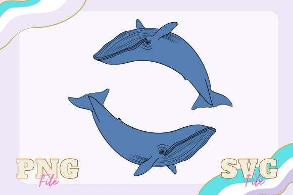 Download Blue Whale Svg - Premium Resources